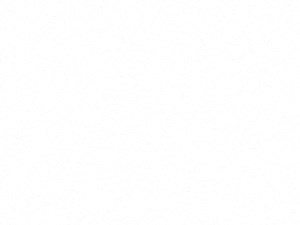 A1